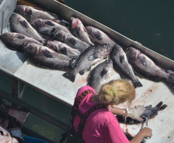 fish cleaning station